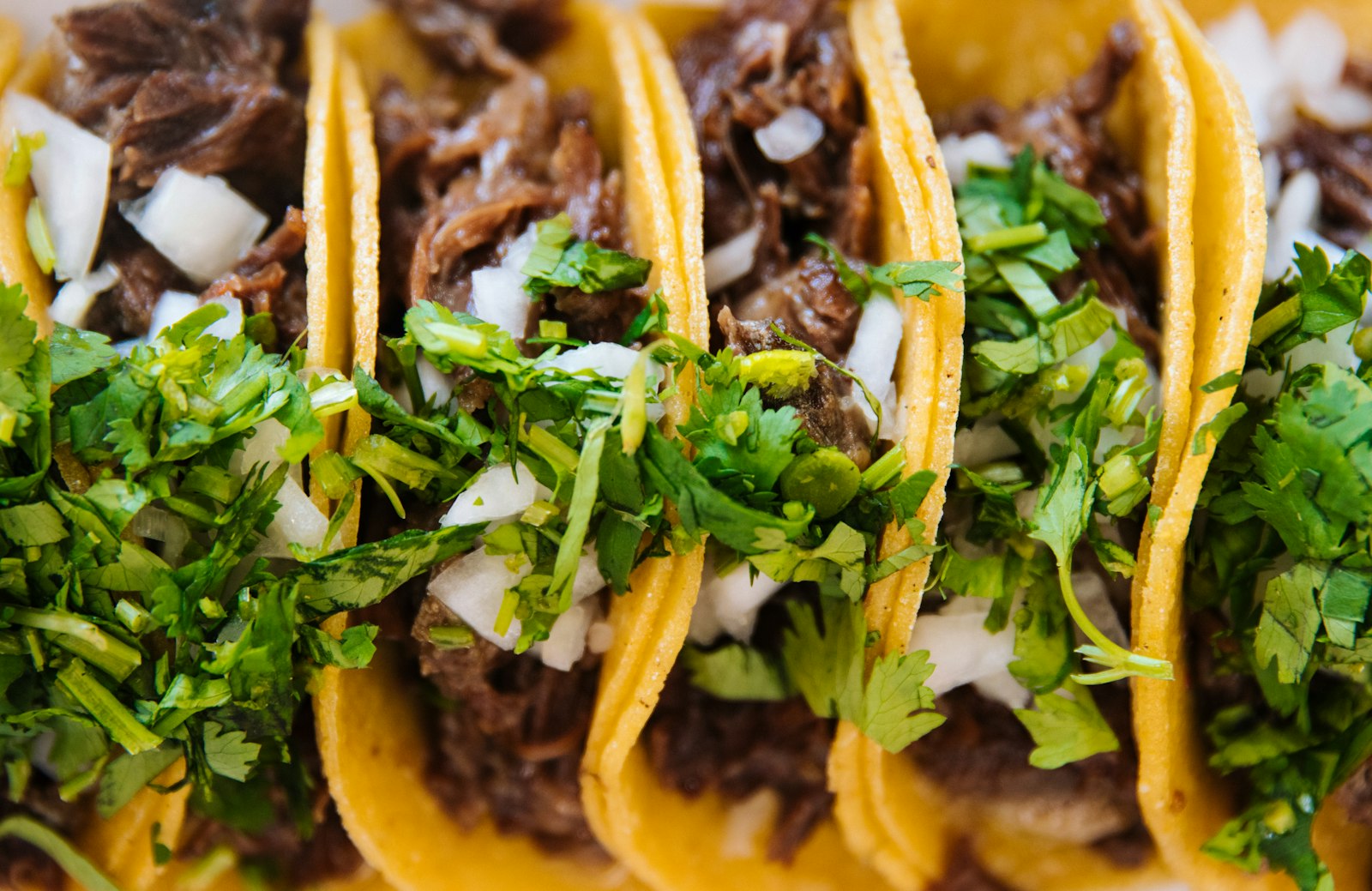 Birria tacos — rich, slow-braised beef in crispy corn tortillas piled with onion and cilantro